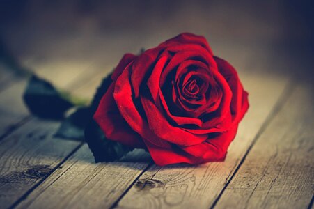 In love romance vintage
