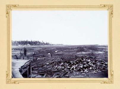 Fotografi från Ljusne. Brädgården efter branden - Hallwylska museet - 106828