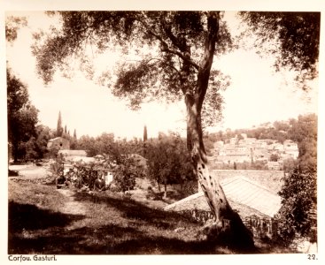 Fotografi från Korfu, Grekland - Hallwylska museet - 104580