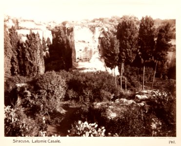 Fotografi från Latomia i Syrakusa - Hallwylska museet - 104049