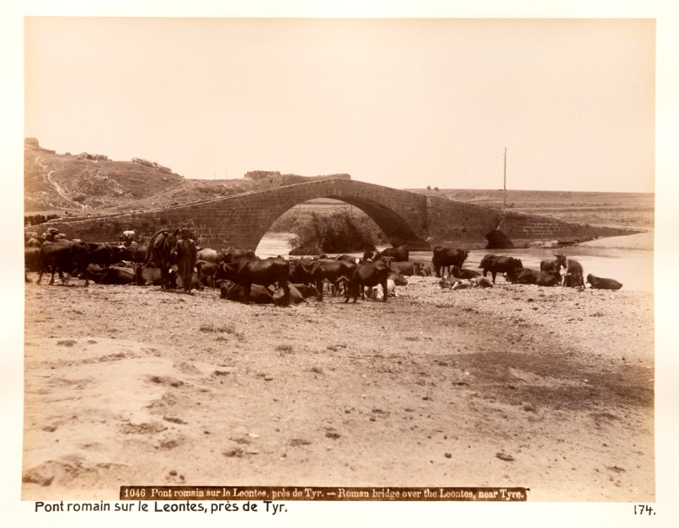 Fotografi från Libanon - Hallwylska museet - 104298