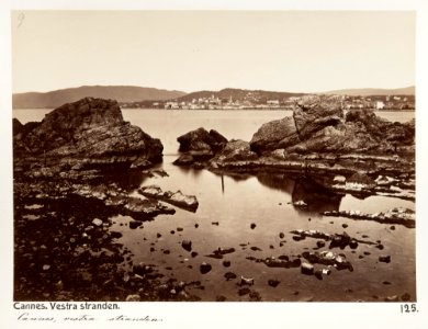 Fotografi från Rive de l'oest, Cannes - Hallwylska museet - 107217 photo