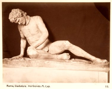 Fotografi från Roma. Gladiatore moribondo. M. Cap - Hallwylska museet - 104729