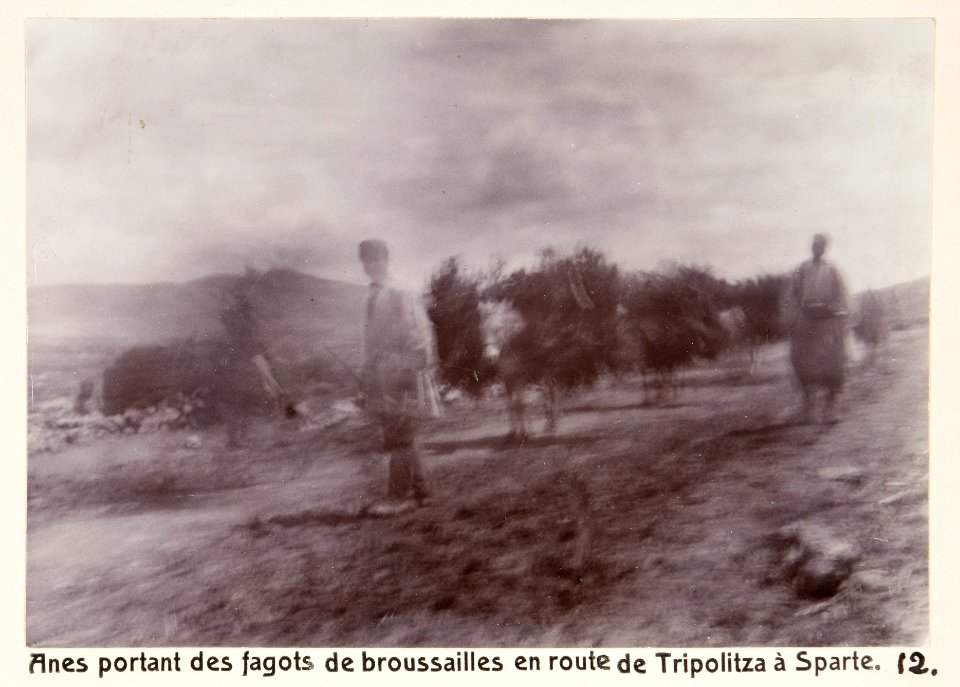 Fotografi från Sparta, 1896 - Hallwylska museet - 104570