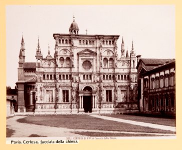 Fotografi från Pavia - Hallwylska museet - 104545