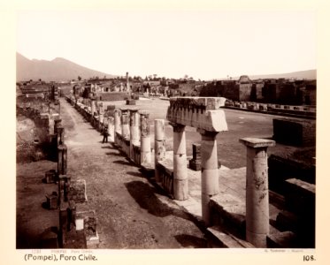 Fotografi från Pompeji - Hallwylska museet - 104180