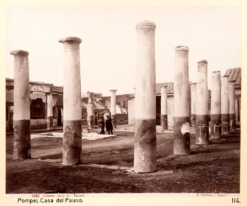 Fotografi från Pompeji - Hallwylska museet - 104188