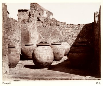 Fotografi från Pompeji - Hallwylska museet - 107905