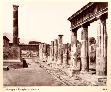 Fotografi från Pompeji - Hallwylska museet - 104179