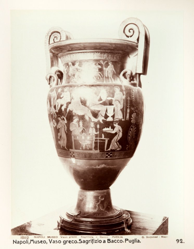 Fotografi på amfora från Neapels museum - Hallwylska museet - 104164