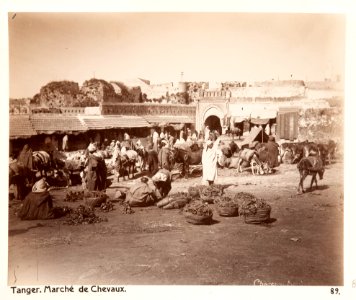 Fotografi från Tanger, Marocko, 1800-tal - Hallwylska museet - 107252
