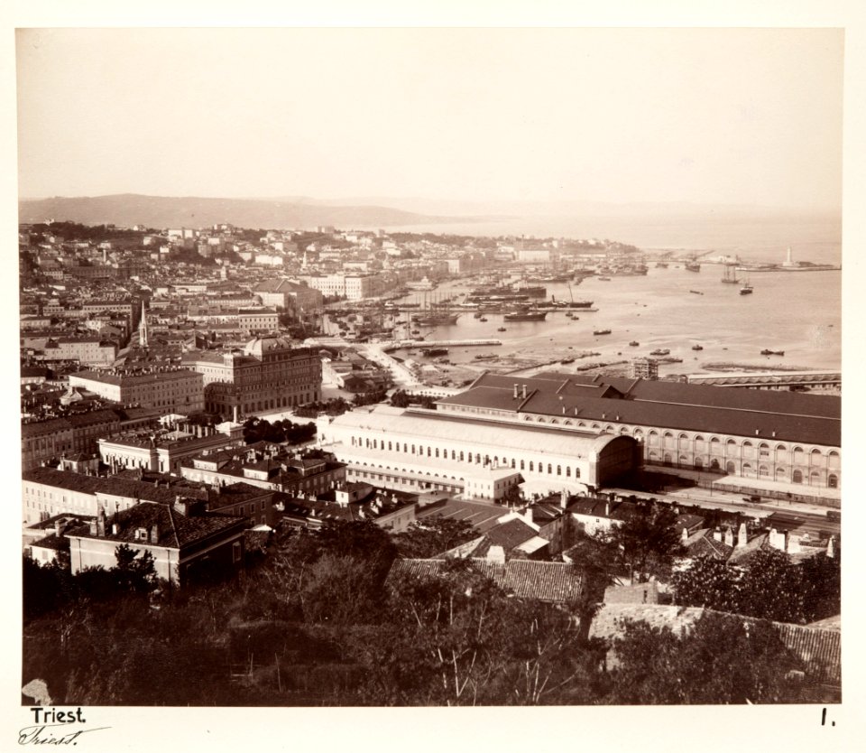 Fotografi från Trieste - Hallwylska museet - 102975