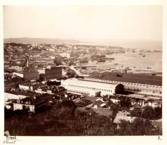 Fotografi från Trieste - Hallwylska museet - 102975