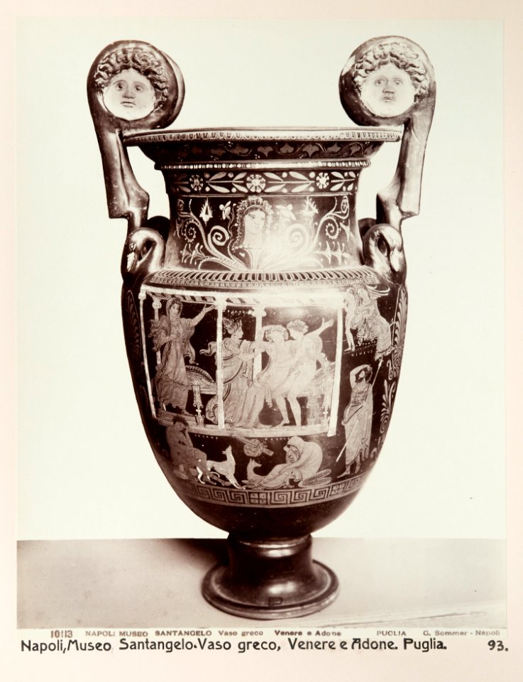 Fotografi på amfora från Neapels museum - Hallwylska museet - 104165