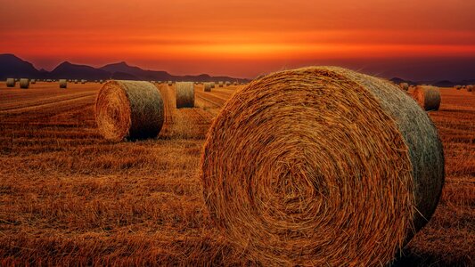 Landscape sky agriculture photo