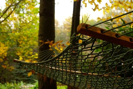 Nature outside autumn