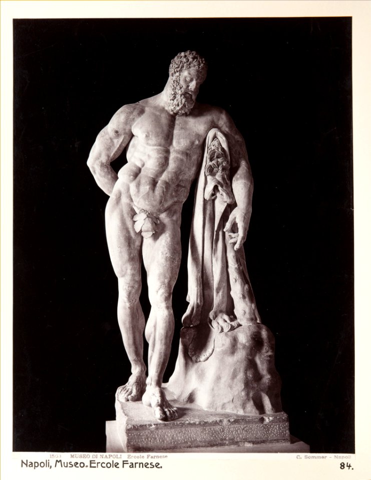 Fotografi på Hercules - Hallwylska museet - 104156