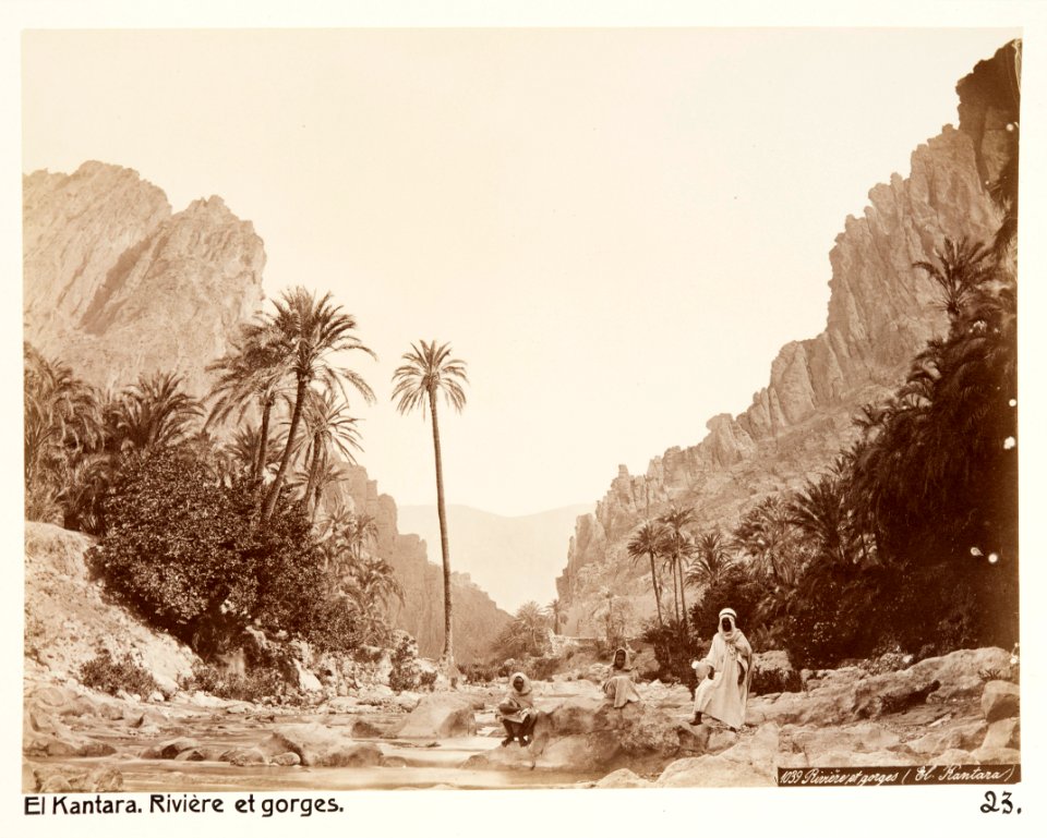 Fotografi på El Kantara, Algeriet - Hallwylska museet - 107934