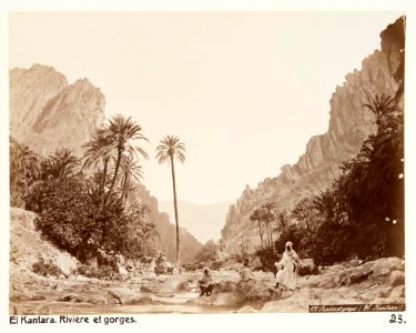 Fotografi på El Kantara, Algeriet - Hallwylska museet - 107934