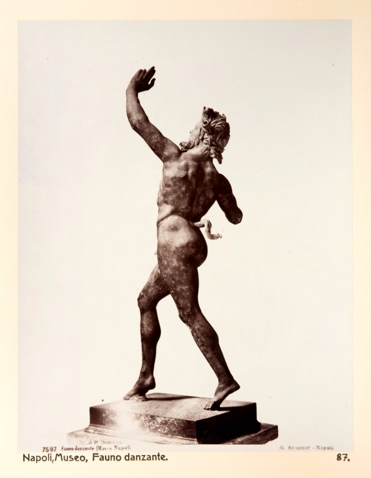 Fotografi på Faun - Hallwylska museet - 104159