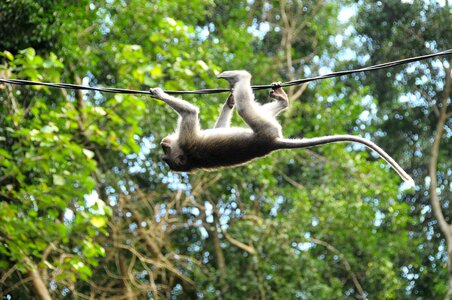 Wildlife park outdoor