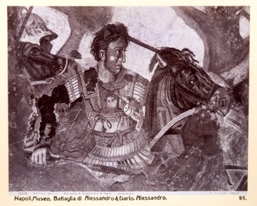Fotografi på mosaik av Alexander den store - Hallwylska museet - 104157