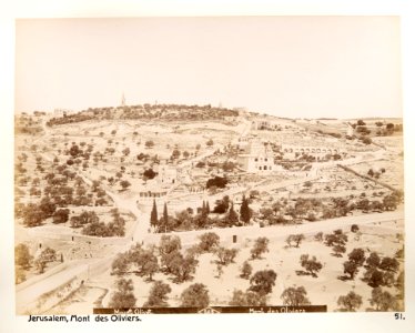 Fotografi på Oljeberget, Jerusalem - Hallwylska museet - 104395