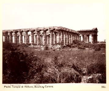 Fotografi på tempel i Paestum - Hallwylska museet - 104088