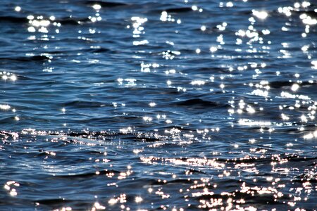 Sea sparkle sunlight photo