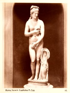 Fotografi. Venere Capitolina. M. Cap. Rom, Italien - Hallwylska museet - 104730 photo