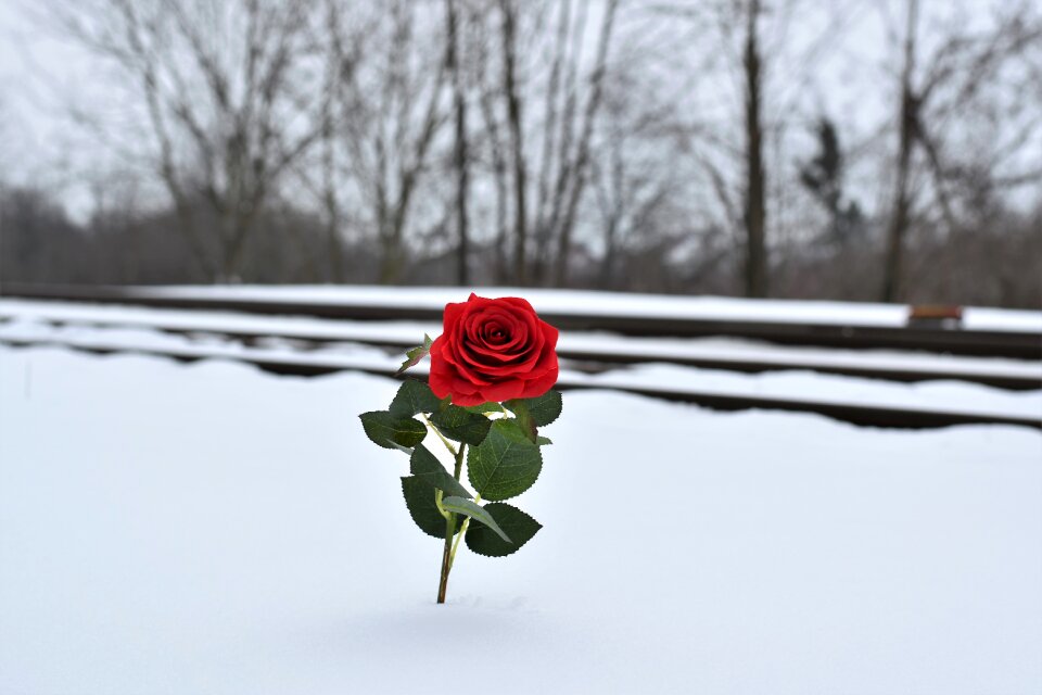 Remembering all victims of suicide on rail touching