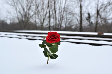 Remembering all victims of suicide on rail touching photo