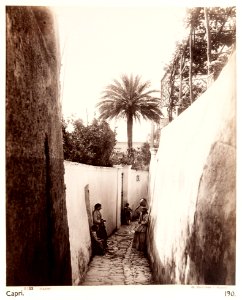 Fotografi. Capri, Italien. - Hallwylska museet - 107456