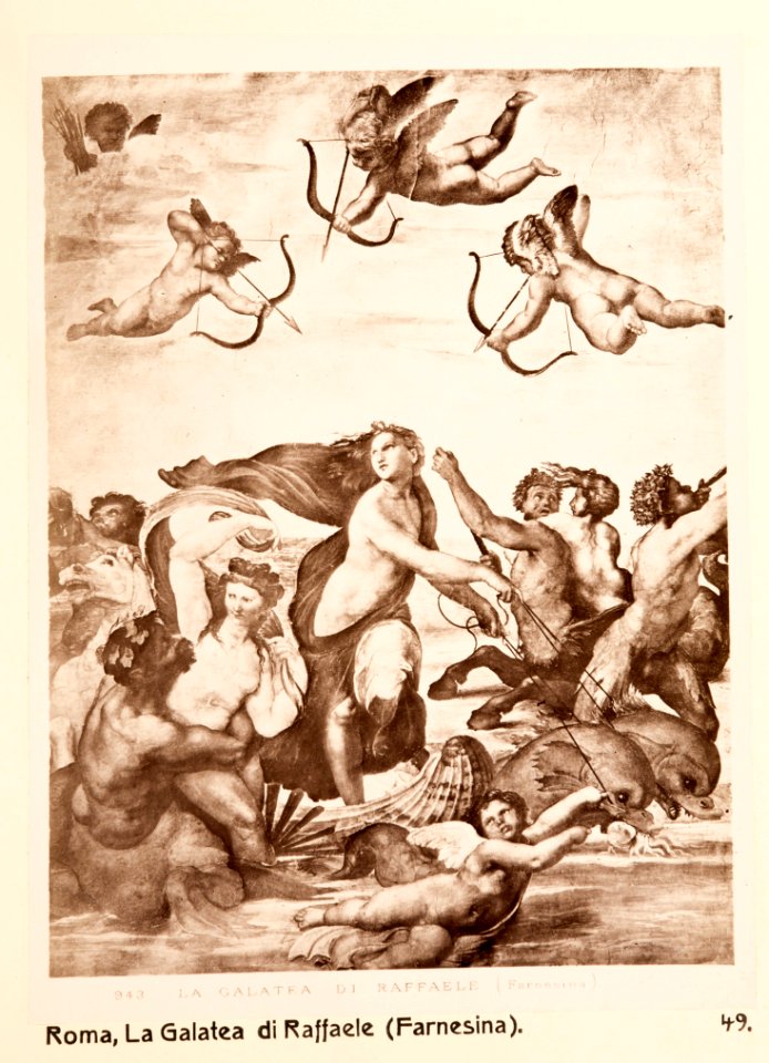 Fotografi. La Galatea di Raffaele (Farnesina). Rom, Italien - Hallwylska museet - 104713