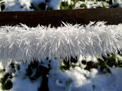 Nature cold winter magic