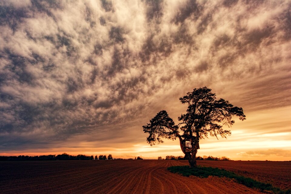 Sky landscape dawn photo