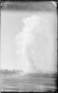 Fountain Geyser, Yellowstone - NARA - 516843