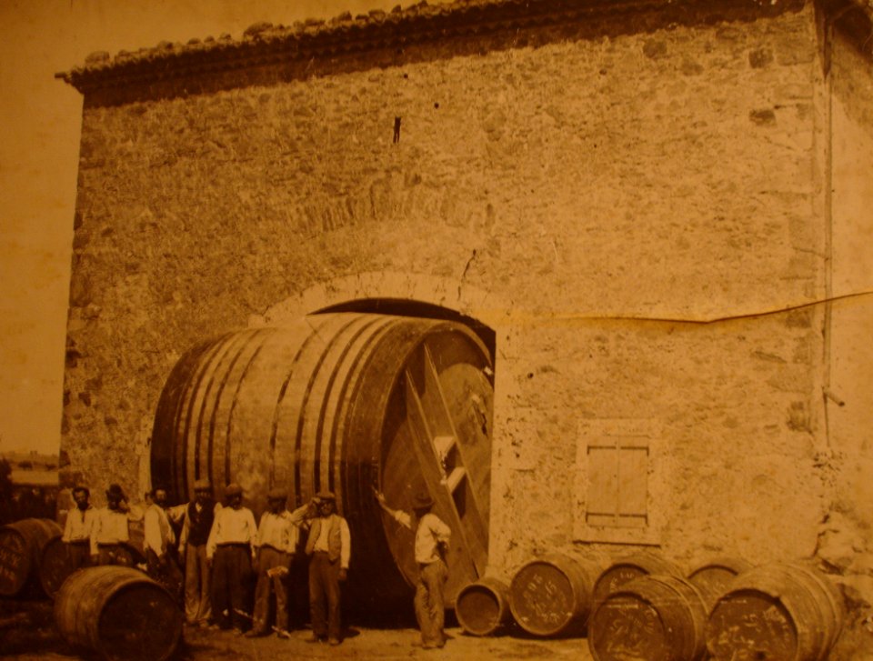 Foudre-viticulture-Aude2