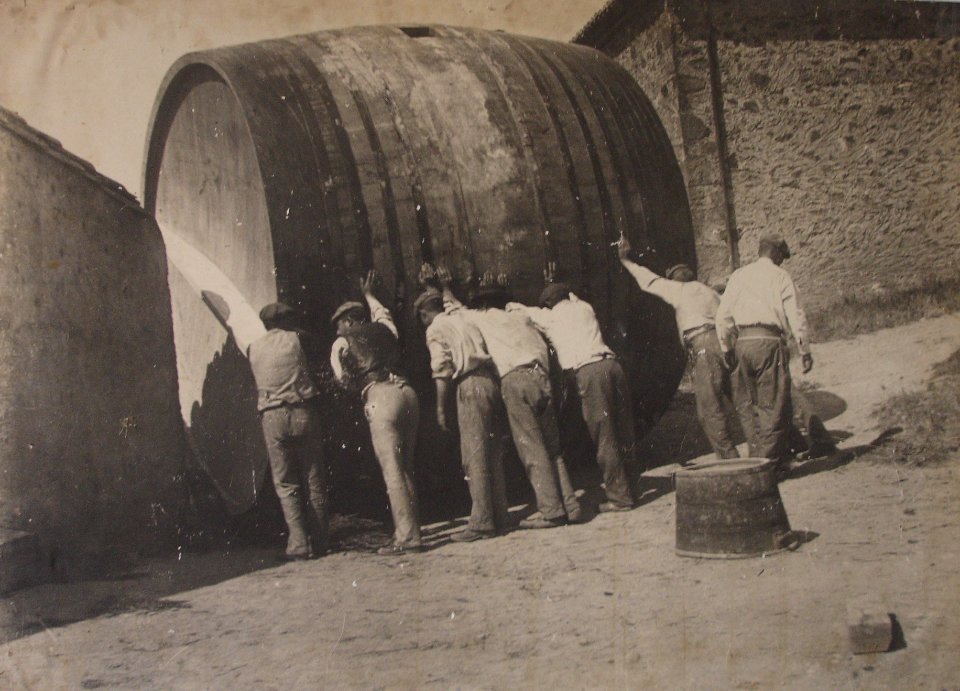 Foudre-viticulture-Aude4