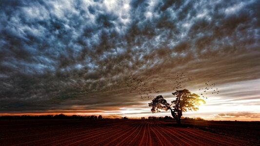 Landscape sky sun photo