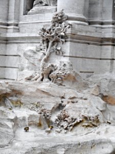 Fountain of Trevi in Rome (Detail) (24984855713) photo