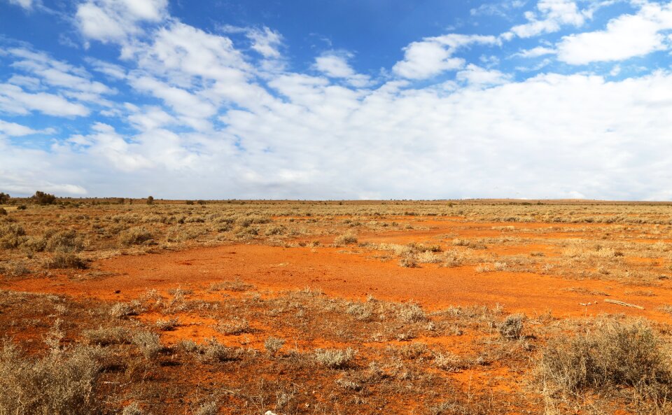 Dry nature landscape