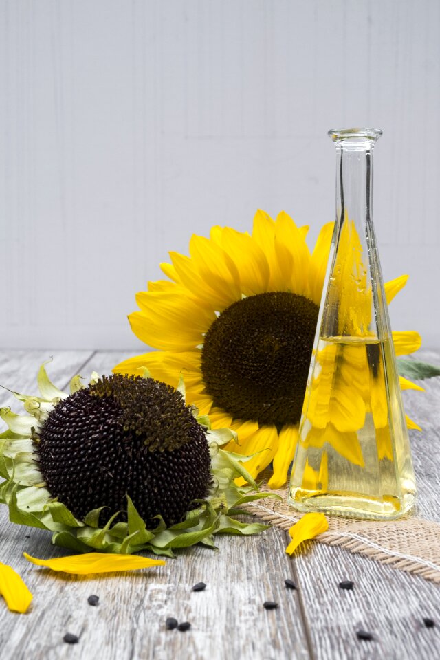 Food nutrition cook