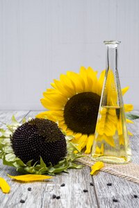 Food nutrition cook
