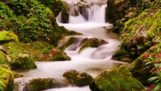 Hallein bach waterfall photo