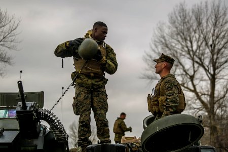Fox Company Lands in Romania for Spring Storm 2018 (40724838152)