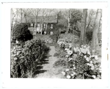 Foxcroft School, Middleburg, Loudoun County, Virginia. Flower border pathway LCCN2008680006