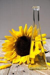 Food nutrition cook