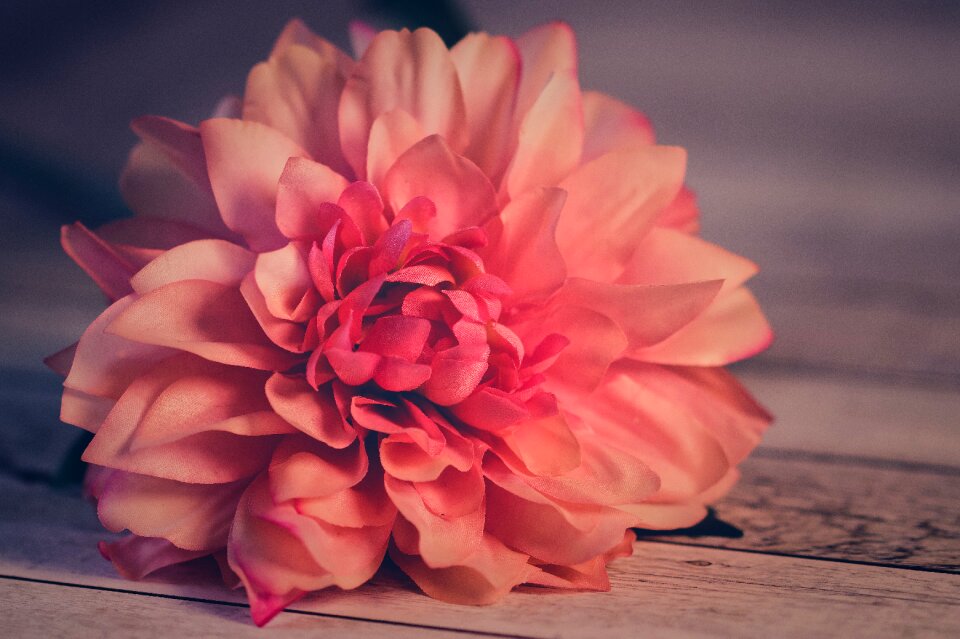 Flower petals table
