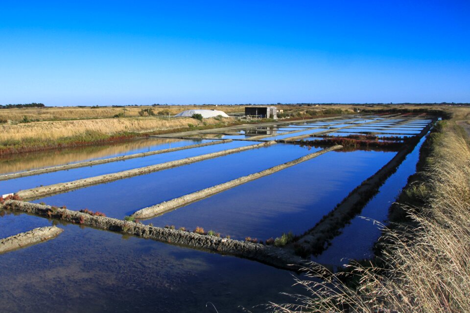 Noirmoutier salant marsh